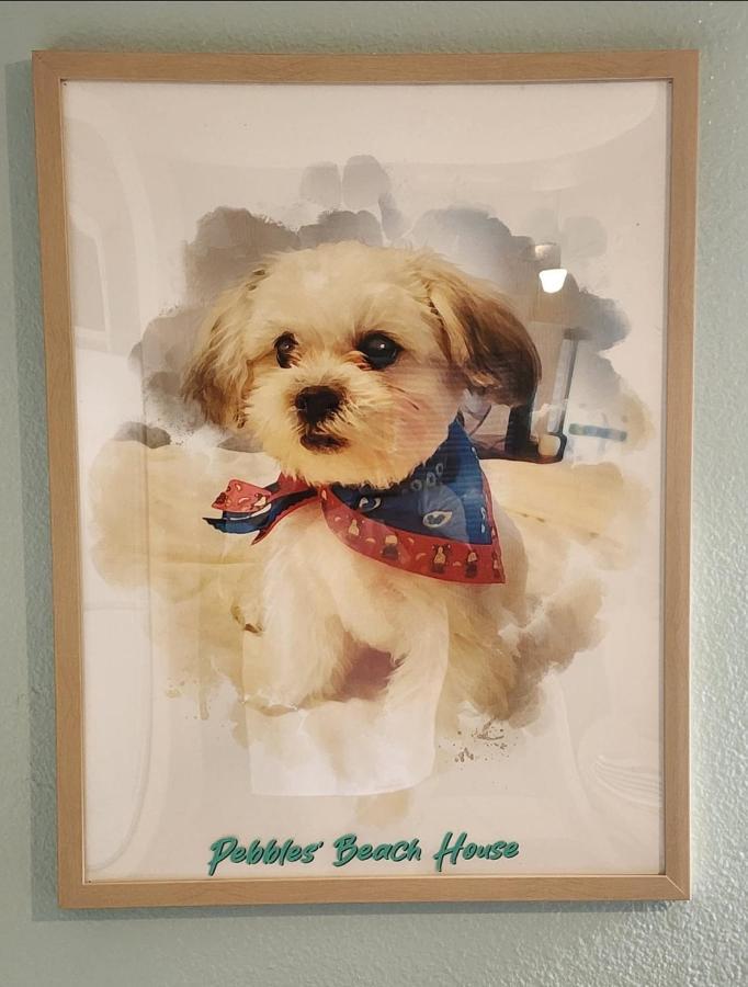 Pebbles' Beach House เอดินเบิร์ก ภายนอก รูปภาพ